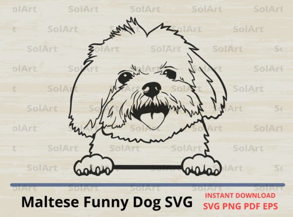 Reviewing the Maltese Funny Dog SVG for Embroidery